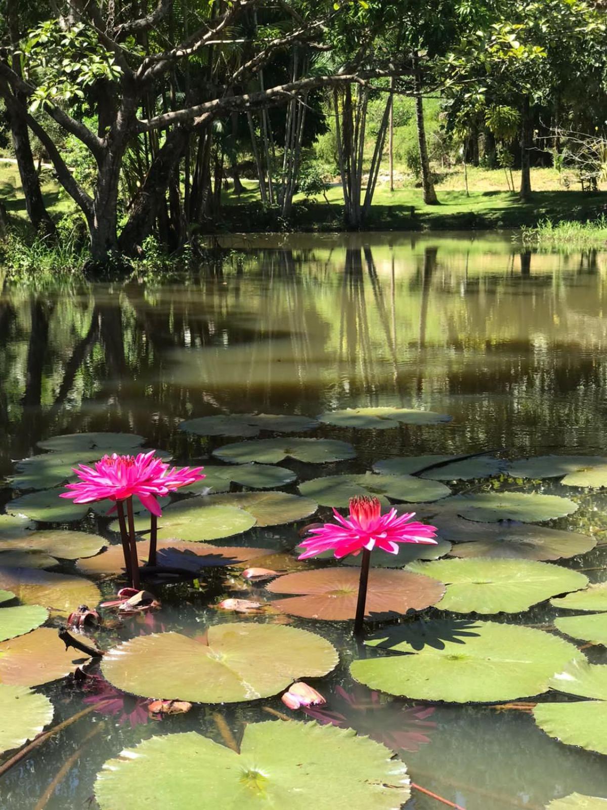 Canto De Roca Turismo E Lazer Mimoso do Sul Экстерьер фото