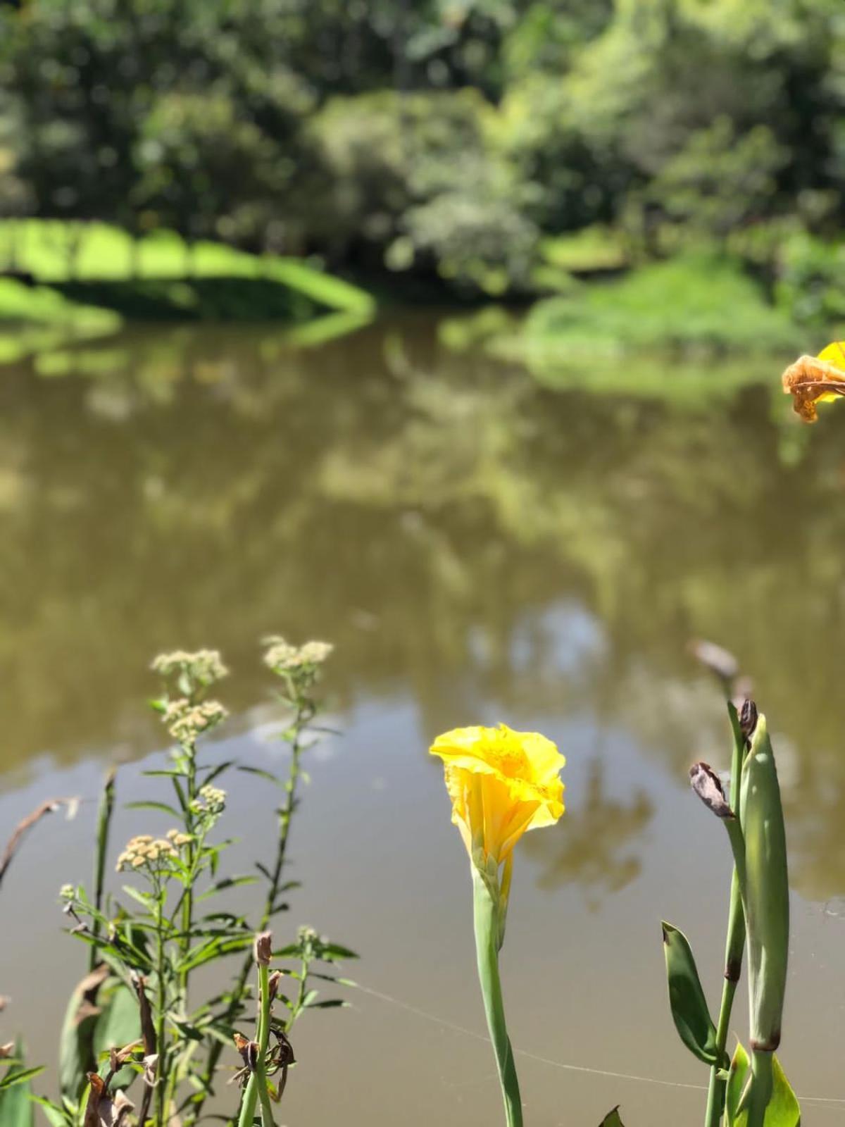 Canto De Roca Turismo E Lazer Mimoso do Sul Экстерьер фото